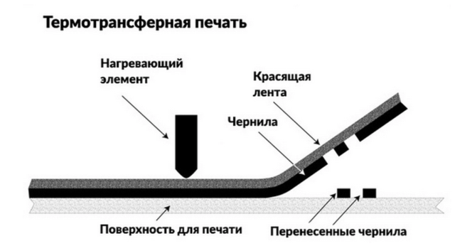 Принцип работы термопринтера для печати этикеток: заправка, настройка
